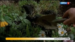 Борьба с вредителями Игровой анонс Утро России 07.09.2021