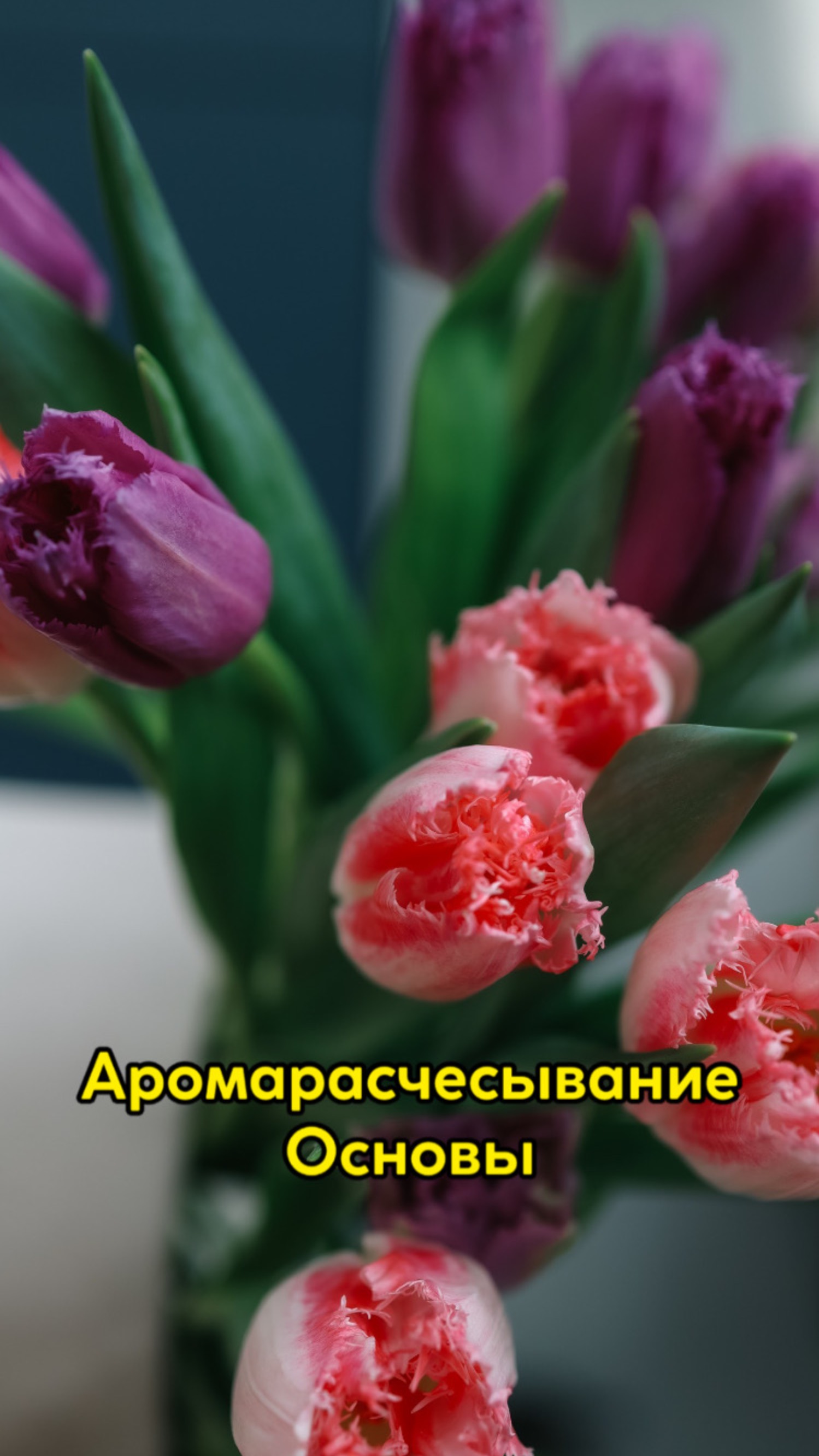 Аромарасчесывание, Основы🪮