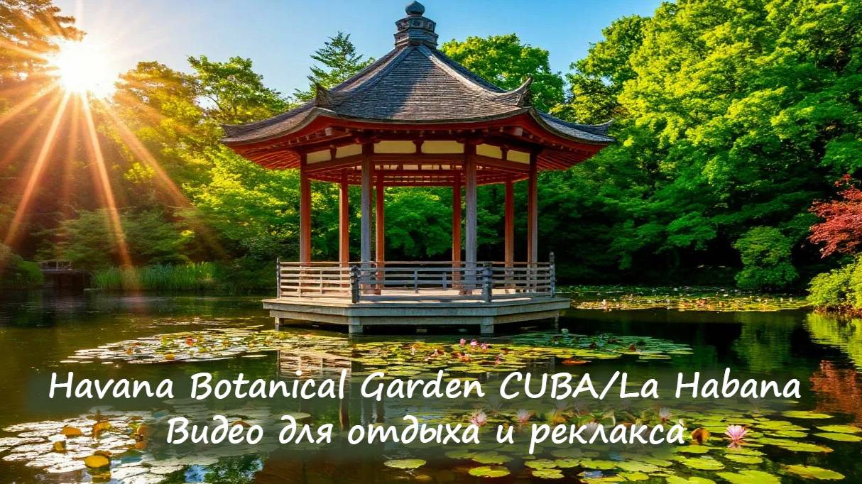Успокаивающее видео с видом на японский сад ботанического сада Гаваны. Havana Botanical Garden,Cuba