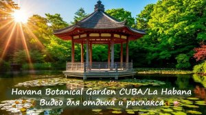 Успокаивающее видео с видом на японский сад ботанического сада Гаваны. Havana Botanical Garden,Cuba