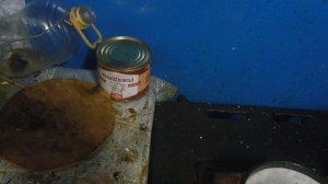 ЗАВОРАЖИВАЮЩЕЕ ВИДЕО  МЫШИЛОВКА ИЗ  5  ЛИТРОВОЙ БУТЫЛКИ