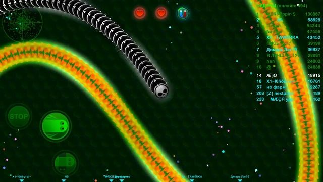 Wormax.io (Игра на эмуляторе андроида) смотреть онлайн