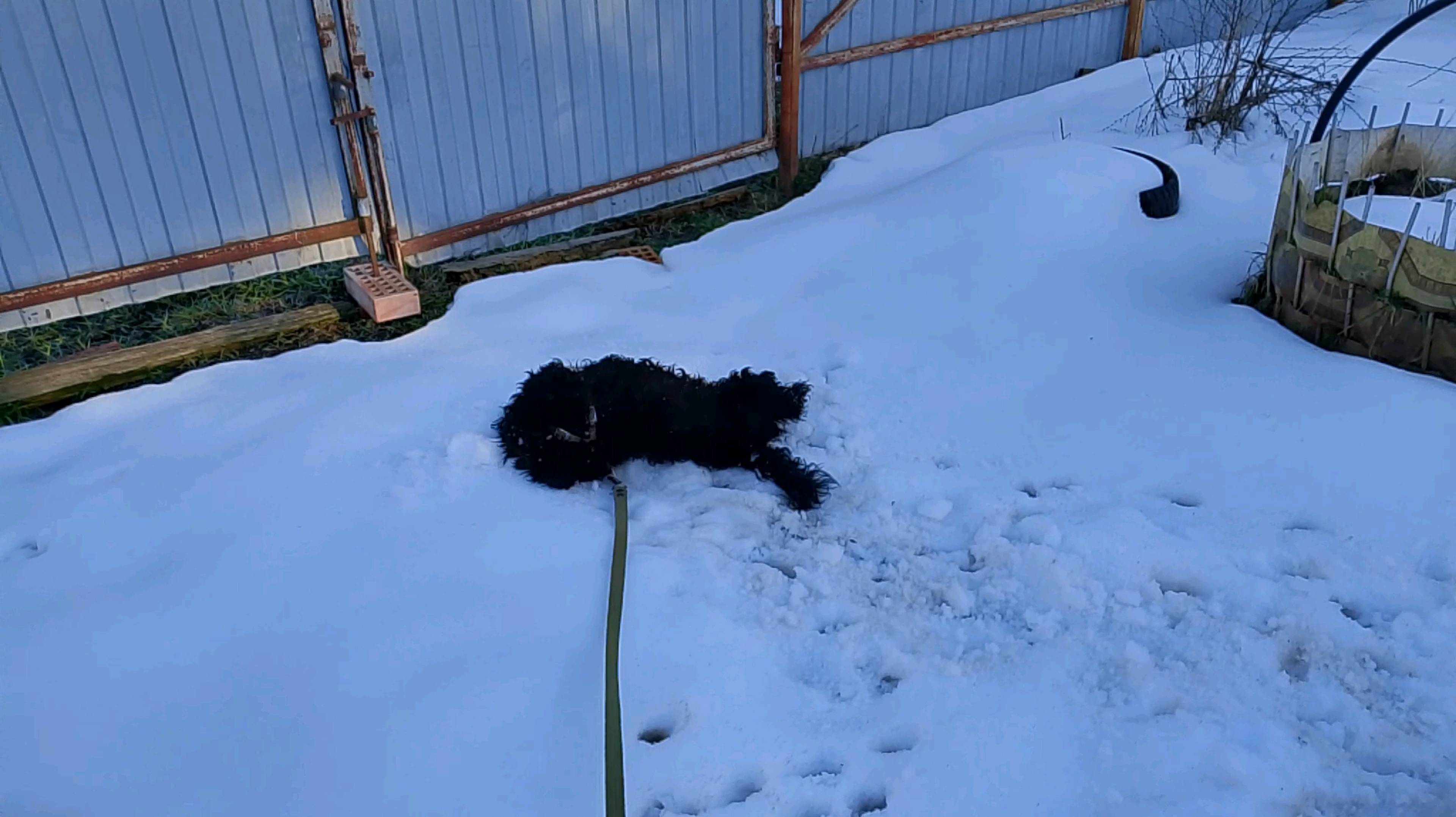 14.04.25.ура! У меня выходные. Делаю поделки и отвечаю на комментарии🌺🌺🌺