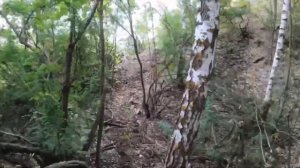 Вольск родео 1день