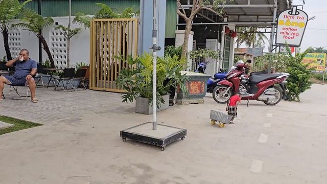 KUKU regrets stealing monkey Su's milk смотреть онлайн