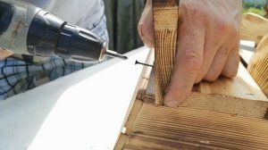 оленёнок Бэмби.