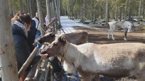 Карелия 3.