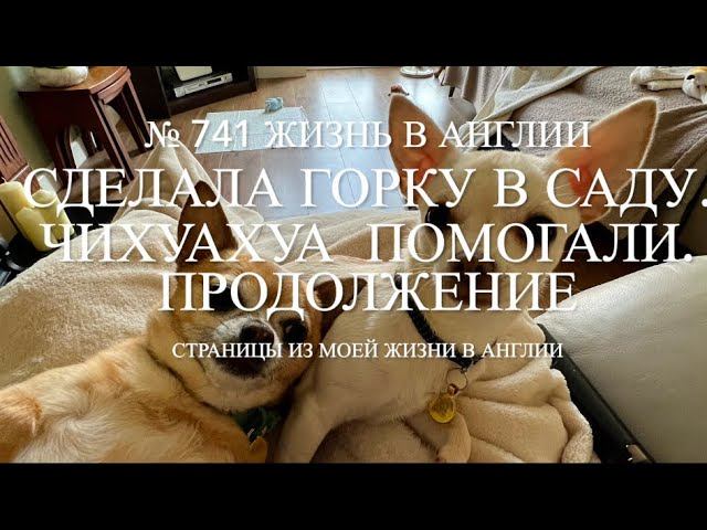 Сделала горку в нашем саду. Наши чихуахуа Лилли и Люси помогали. № 741 Жизнь в Англии