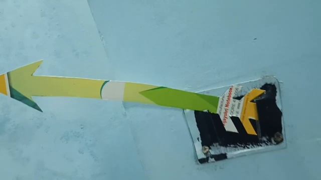 Hannu & Papa And Hannu & Puma 8 July 2023(1) смотреть онлайн