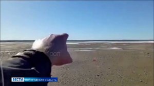 Вологжане обеспокоены состоянием резко обмелевшего Кубенского озера