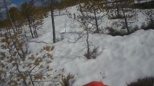 Ларвен на катковой подвеске