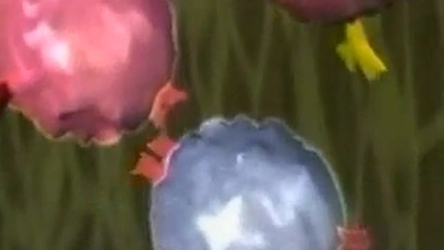 Antibody Mediated Immune Response смотреть онлайн