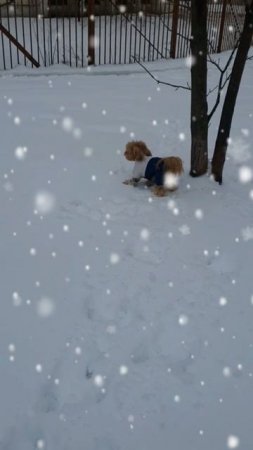 Красота