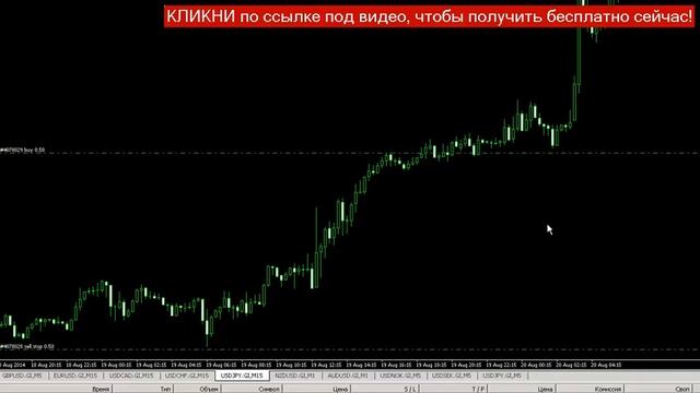тестер стратегий форекс mt4