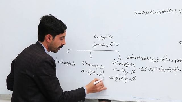 یوولسم ټولګی - بیولوژی مضمون - یوولسم لوست  سنتروزوم  پلاستیدونه او هسته 