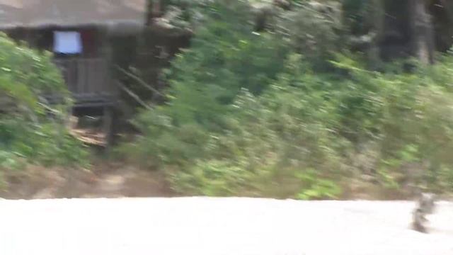 Bungalow Robinson смотреть онлайн