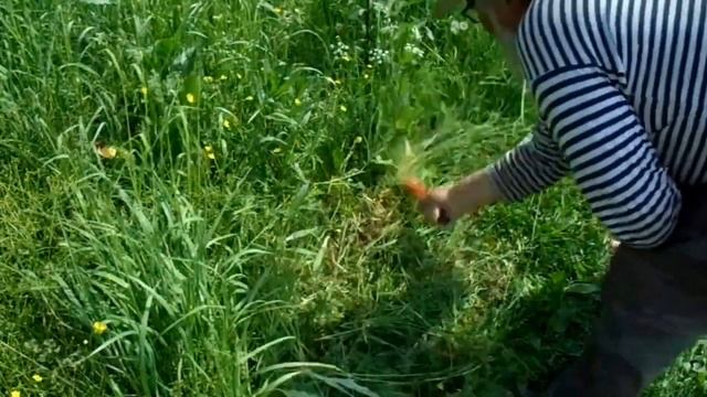 Мини коса смотреть онлайн