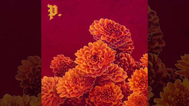 Lime Green Jheri Curl смотреть онлайн