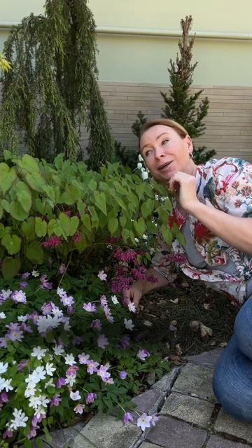 МОИ ЛЮБИМЫЕ РАСТЕНИЯ В МАЕ смотреть онлайн