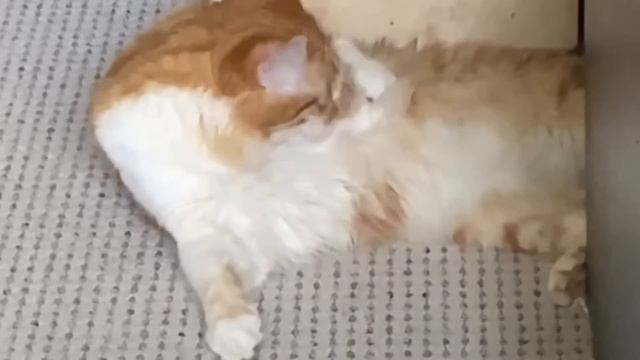 Когда отключили горячую воду