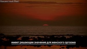 Психологические факты о человеческом поведении, которые поразят вас