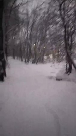 14-04-2025  Таинственный  вечер