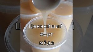 🟢 🔴  НАТУРАЛЬНЫЙ БЕЛЫЙ ДОННИКОВЫЙ МЕД 🍯 🍯 🍯 С НАШЕЙ ПАСЕКИ.  БЕЛЫЙ МЕД