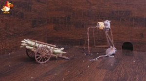 Видео для кошек про крысок развлекать питомцев 🐭🐀😂 30