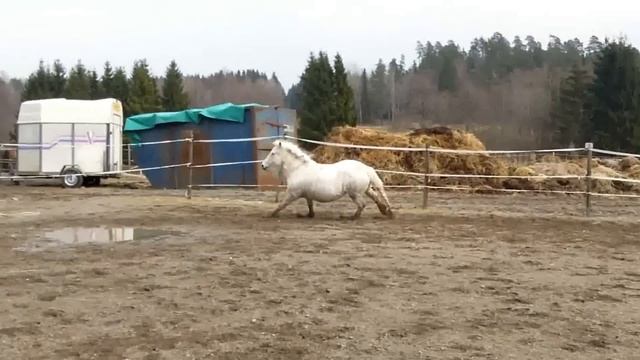 Foton 2010 313.MOV смотреть онлайн