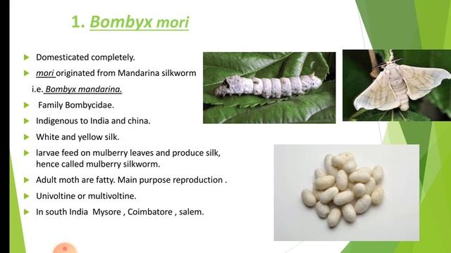 Sericulture (introduction and types of silkworm)
