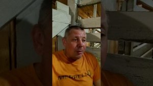 🐐 Собиратель козликов