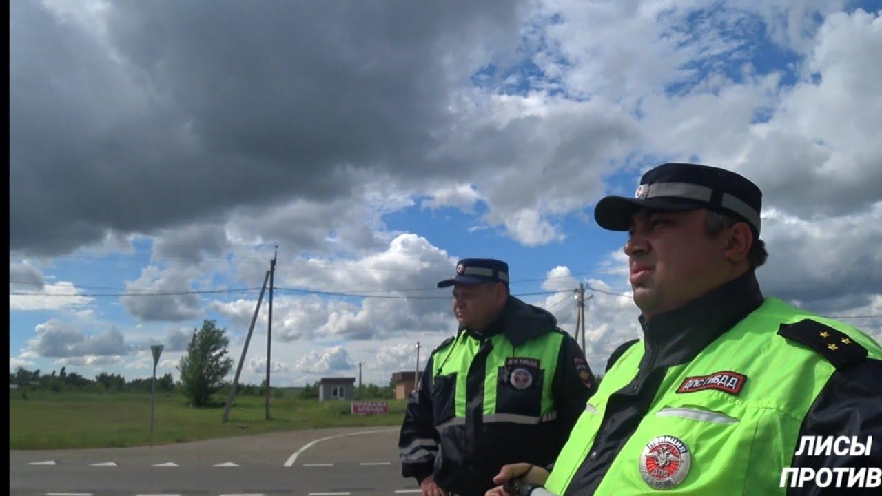 Почему Лисы - не Олени. ДПС Краснодарского края. смотреть онлайн