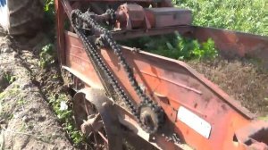 Трактор МТЗ с навесной картофеле копалкой