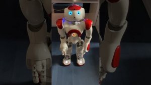 Humanoid Robot NAO V5 Demo Video #2