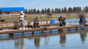 Поимки форели !!!!