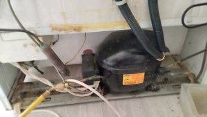 Холодильник Электролюкс не морозит