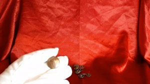 Пуговицы Калужских чиновников / Филобутонистика