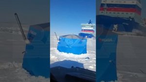 🎣 РЫБАЛКА — это тебе не йога на природе!