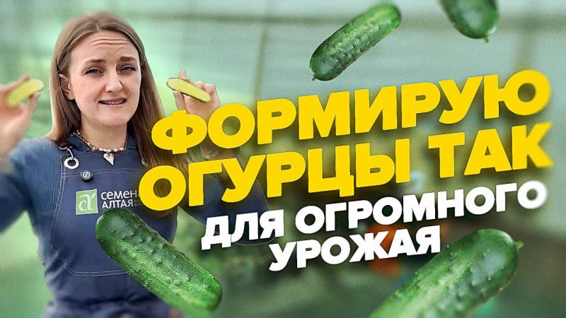 КАК Я ФОРМИРУЮ ОГУРЦЫ В ЗИМНЕЙ ТЕПЛИЦЕ