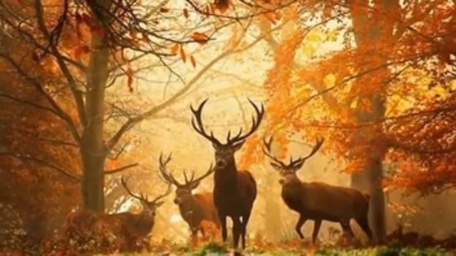 фильм осень смотреть онлайн