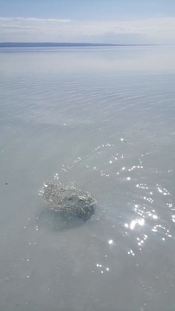 Вода уходит под лед в лунку смотреть онлайн