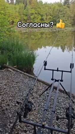 Отправь другу рыбаку 🎣 #рыбалка #рыбак