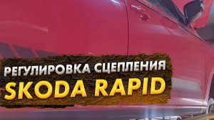 Skoda Rapid: регулировка сцепления коробки DQ200 0CW