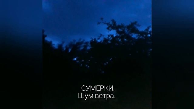 СУМЕРКИ. 🌿 Шум ветра. Московская область. смотреть онлайн