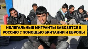 НЕЛЕГАЛЬНЫЕ МИГРАНТЫ ЗАВОЗЯТСЯ В РОССИЮ С ПОМОЩЬЮ БРИТАНИИ И ЕВРОПЫ