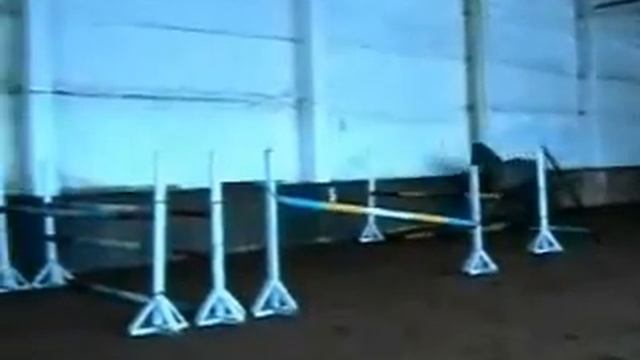 Сэра 2001 г.р. смотреть онлайн