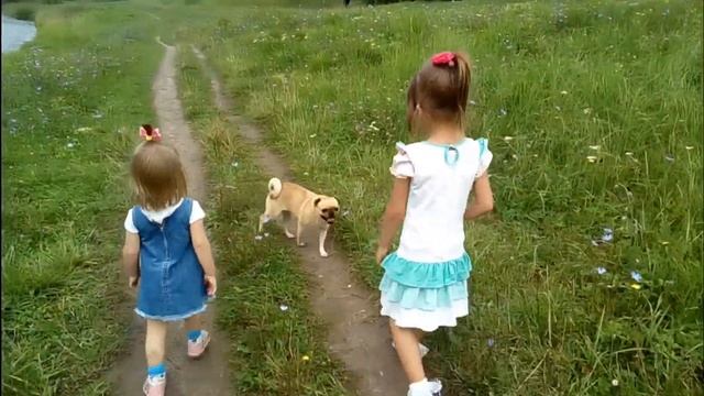 Китаец передаёт привет/Очень приятный сюрприз!!! смотреть онлайн