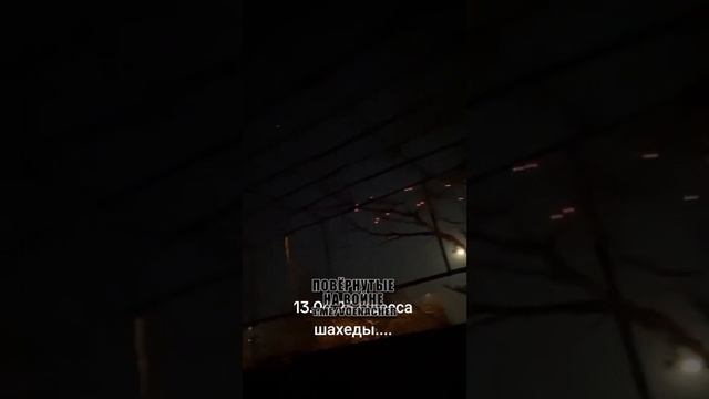 Прилёты Гераней в Одессе.