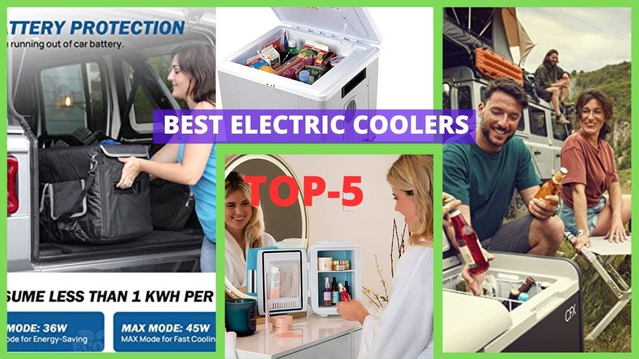 Best Electric Coolers | Top 5 Best Electric Coolers for the Summer