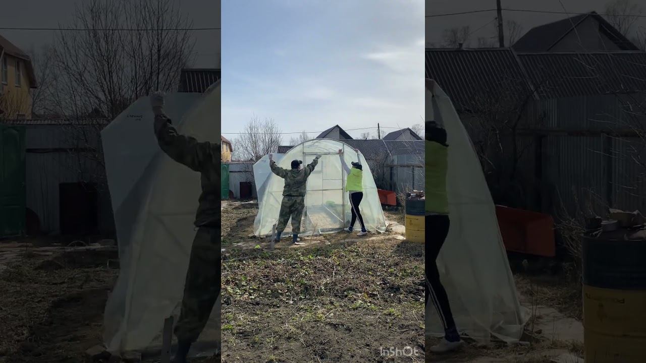 Дачные заботы #садоводничество #garden #дача